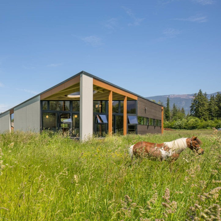 Winter 2026 Photography Workshops