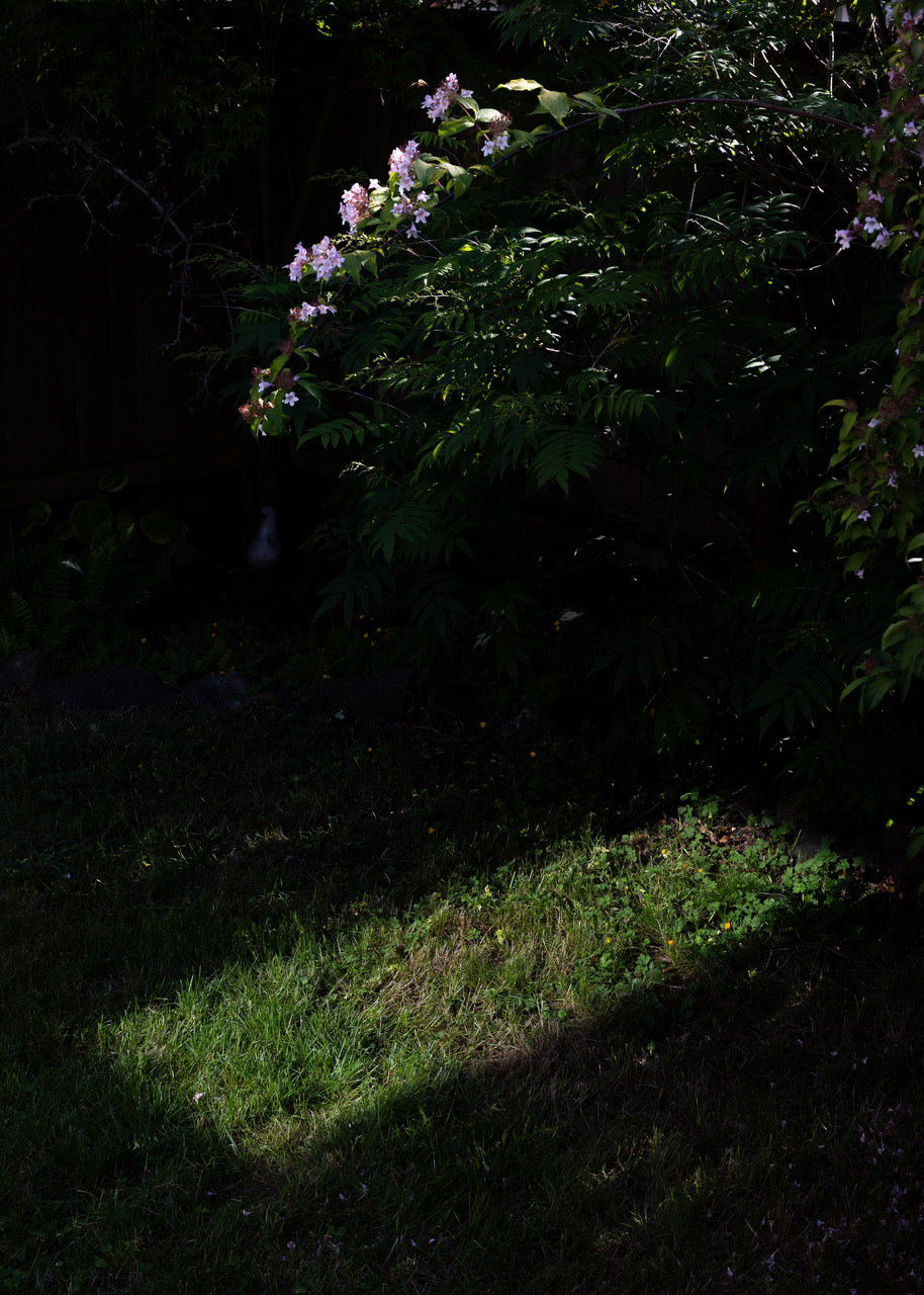 Photography I: Digital (Tuesday AM Session) - Fall 2026