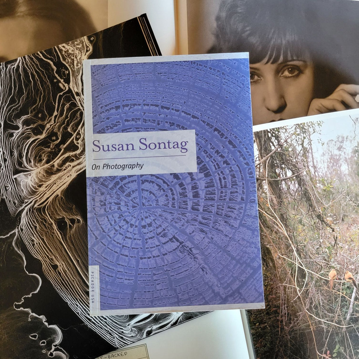 Conversations on Photography: Reading Between the Lines of Susan Sontag's "On Photography" - Winter 2027