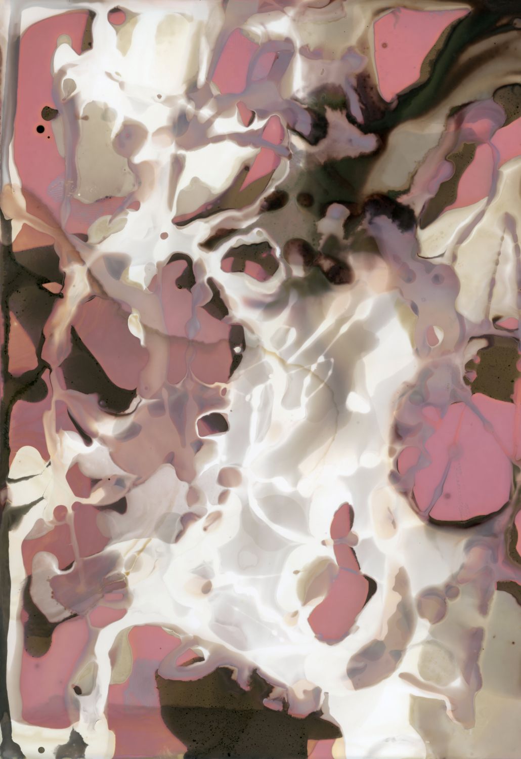 *WAIT-LIST* - Introduction to Alternative Process Photography - Fall 2025