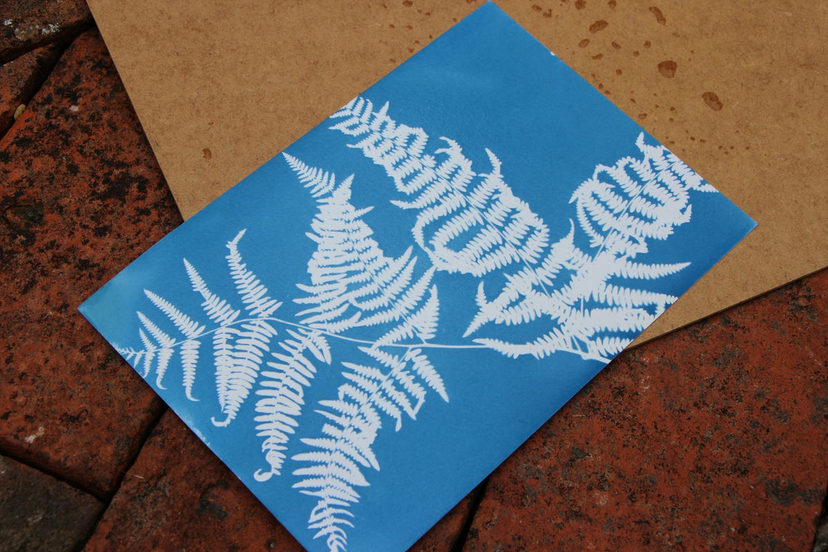 *WAIT-LIST* - Introduction to Alternative Process Photography - Fall 2025