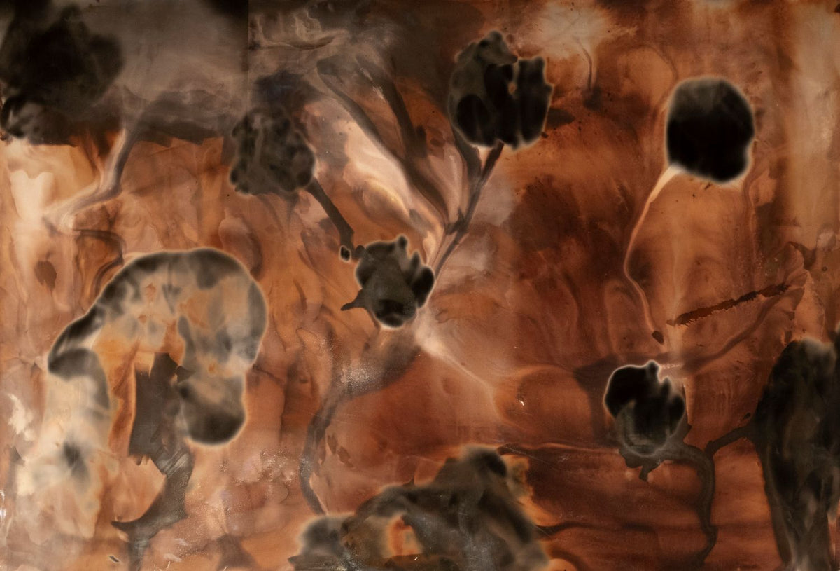 Chromoskedasic Sabatier Printing: Exploring the Unpredictable - Spring 2026