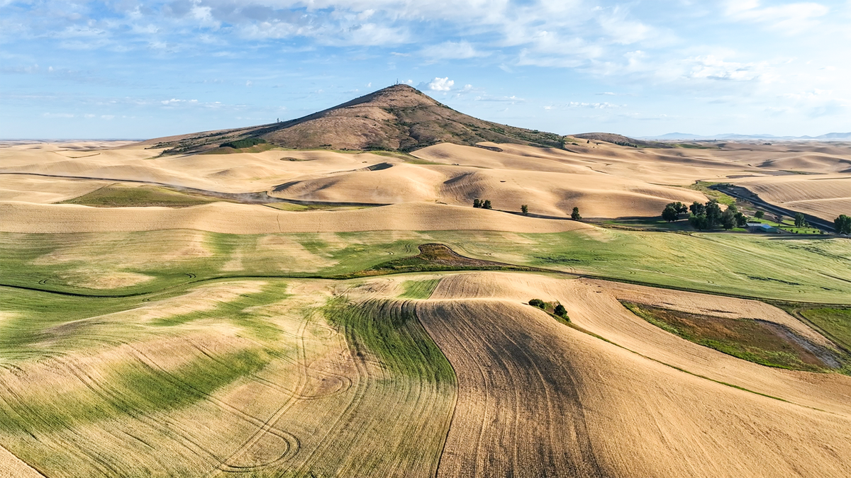 Launch Pad: Everything You Need to Know to Get Started Flying &amp; Photographing with Drones - Spring 2026