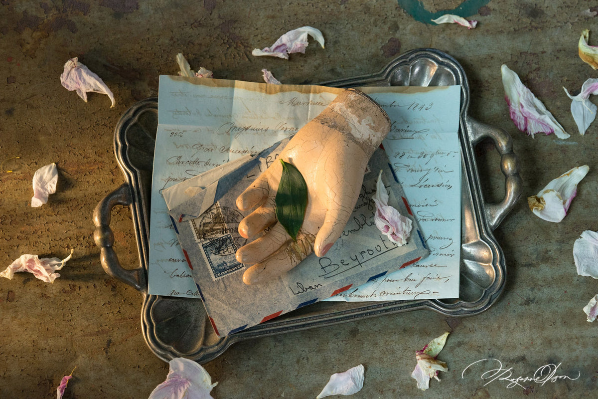 A Moment in Time - Finding Poetry in the Photographic Still Life - Winter 2026