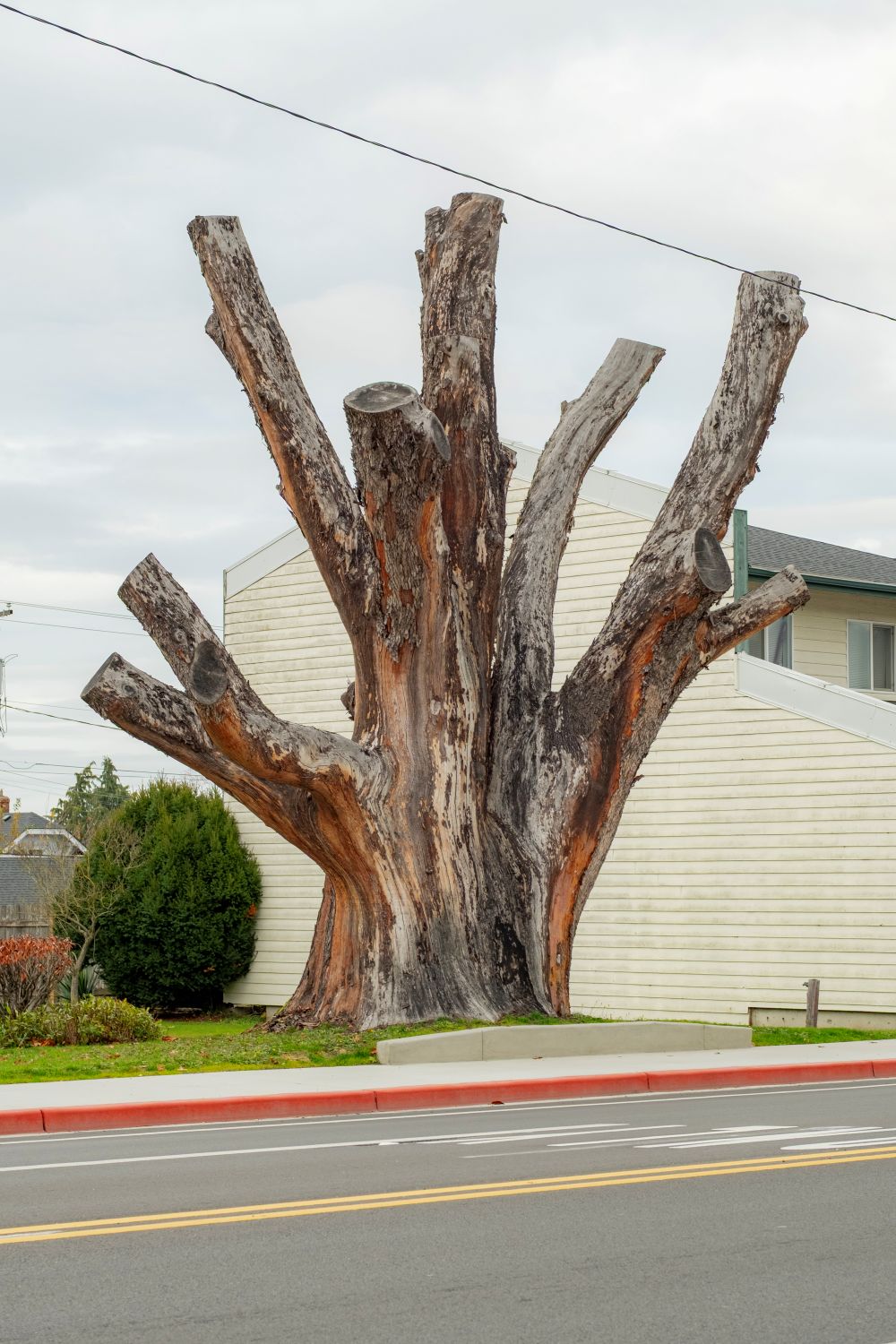 Wanderlust: Photography's Improvisational Relationship with Walking - Summer 2026