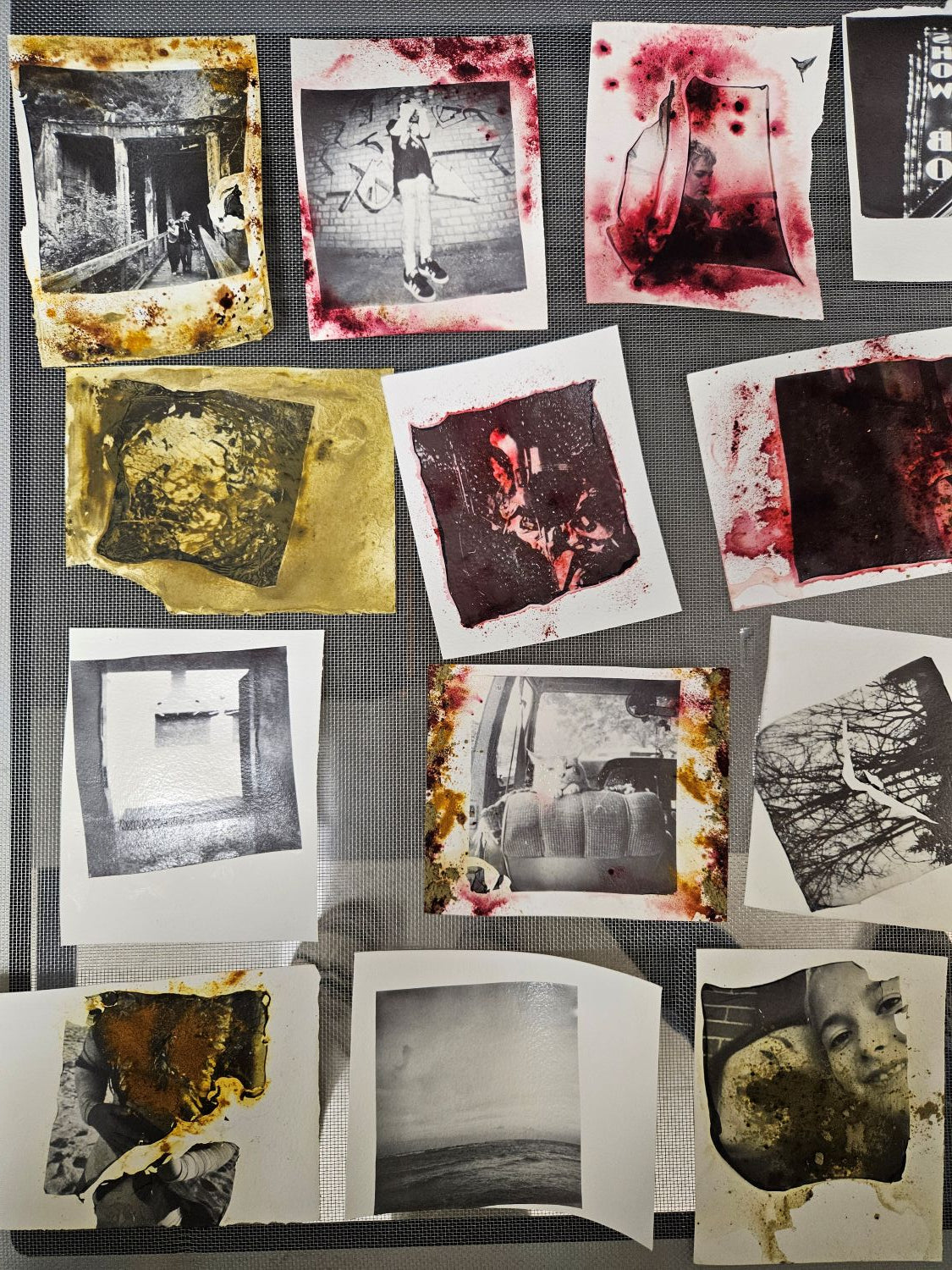 Polaroid Transfers - Winter 2027