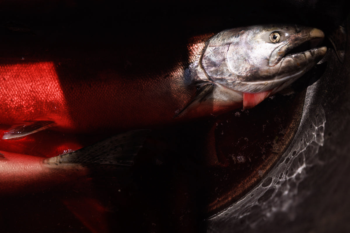 Contemporary Long-Form Photographic Storytelling - Winter 2026