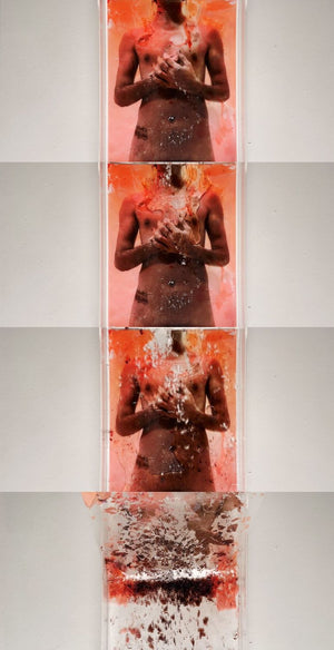 Intermedia and Performance Art - Winter 2027