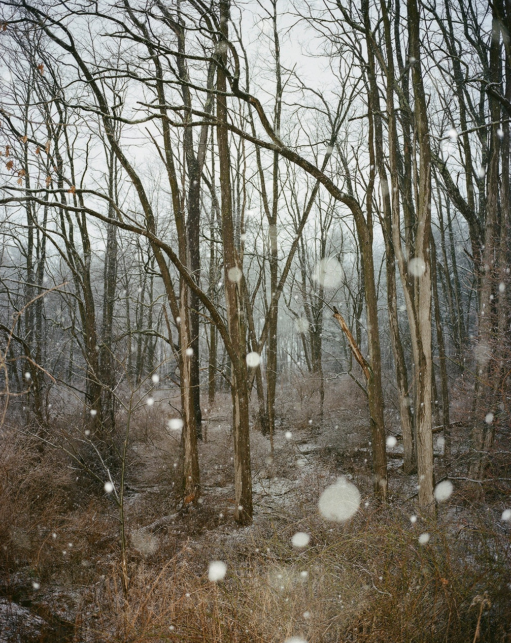 *WAIT-LIST* - Narrative in Photography - Fall 2025