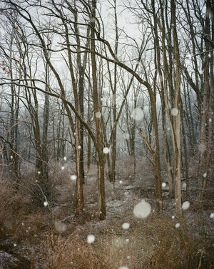 Narrative in Photography - Fall 2025
