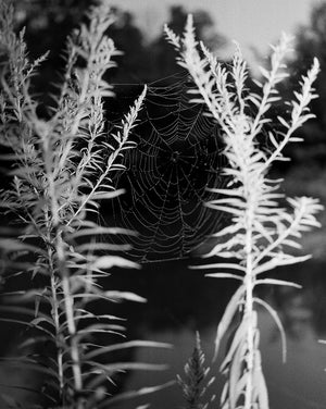 Narrative in Photography - Fall 2025