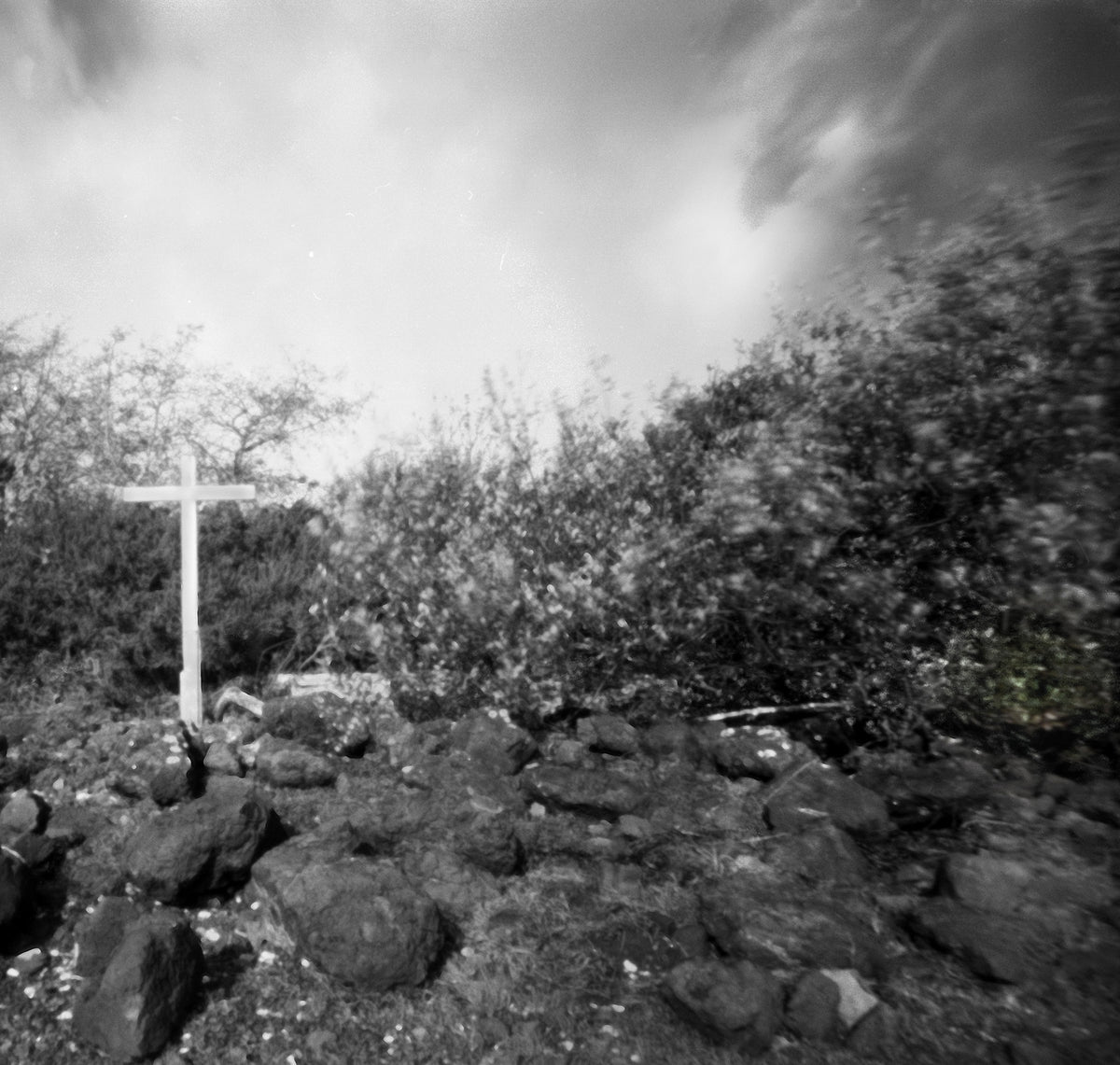 The Cross, 2021