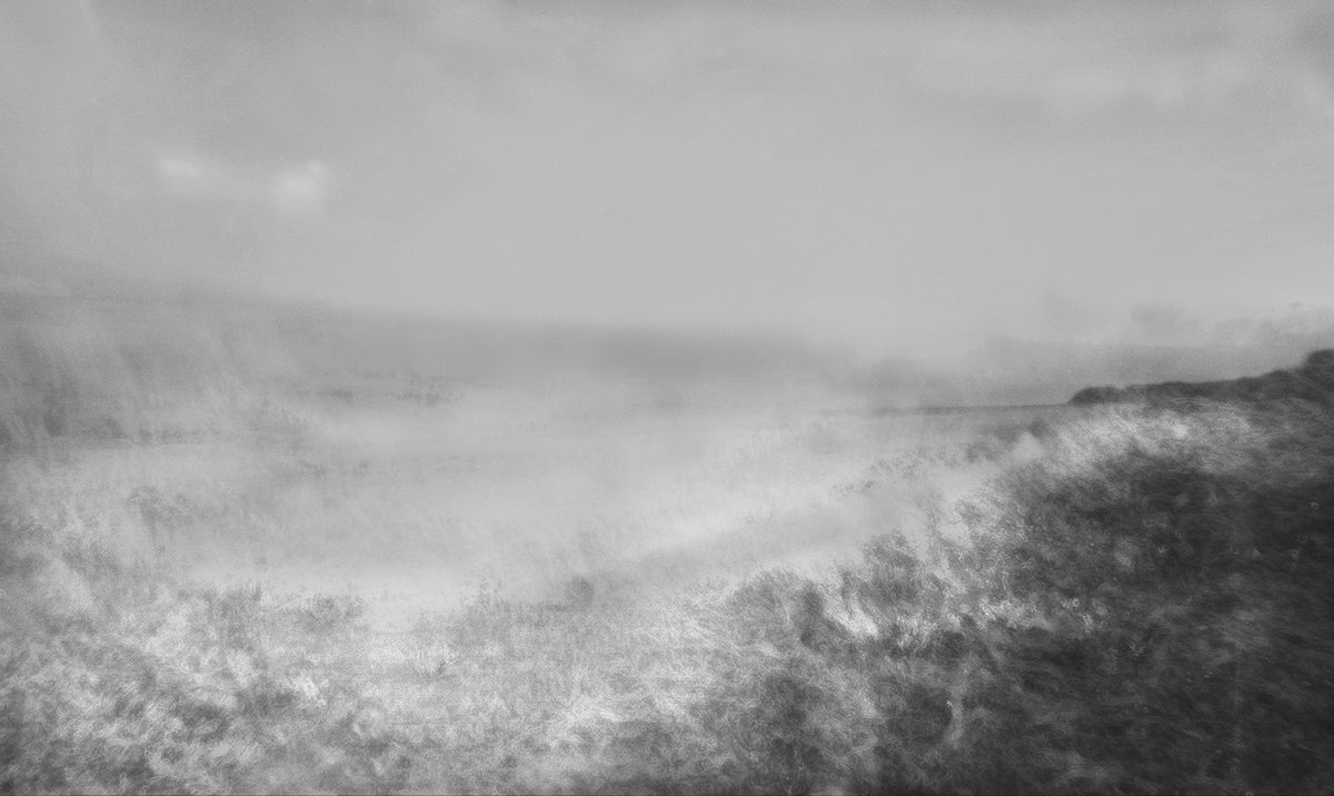 Dream Landscape, 2021