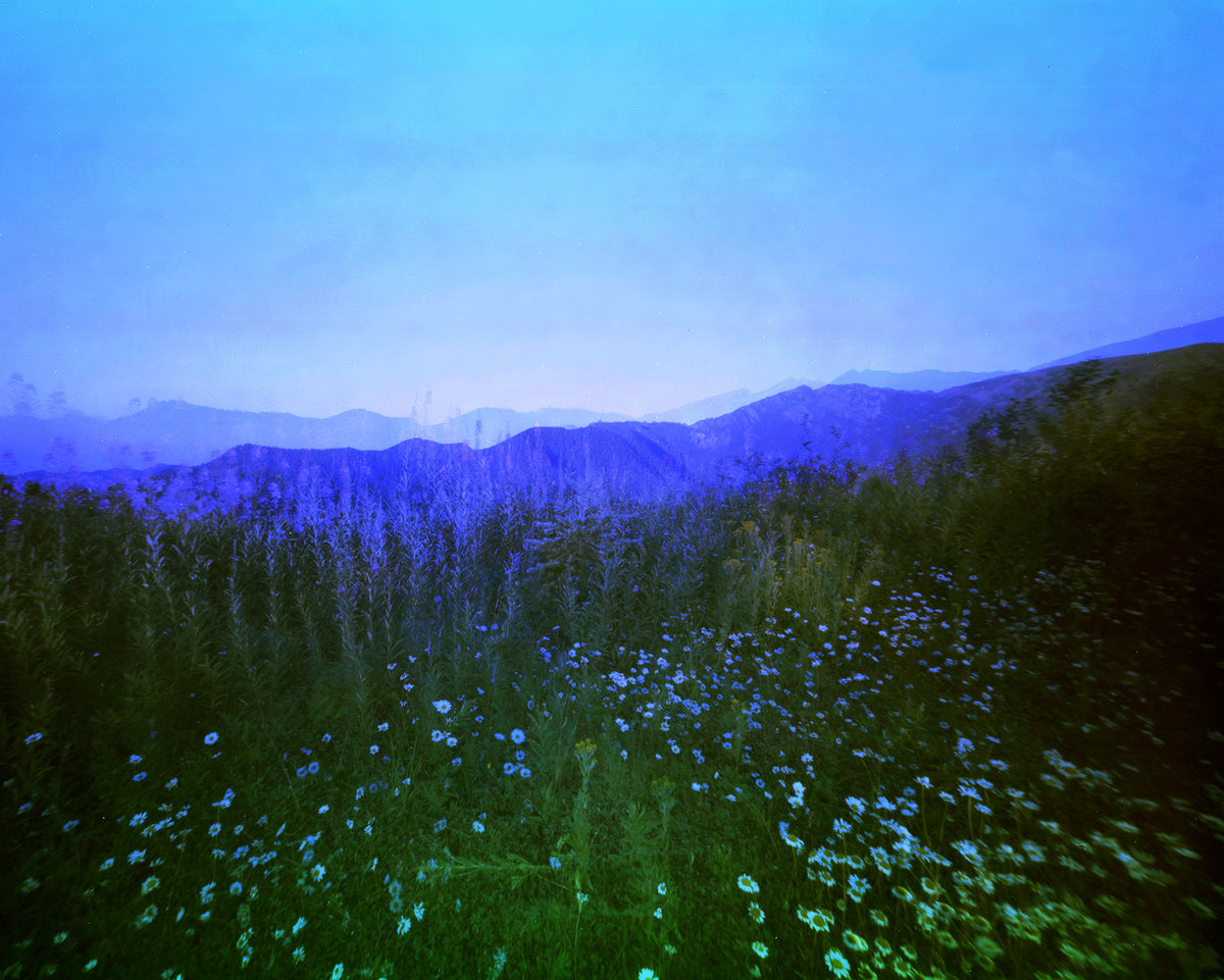 Top of the World, 2017