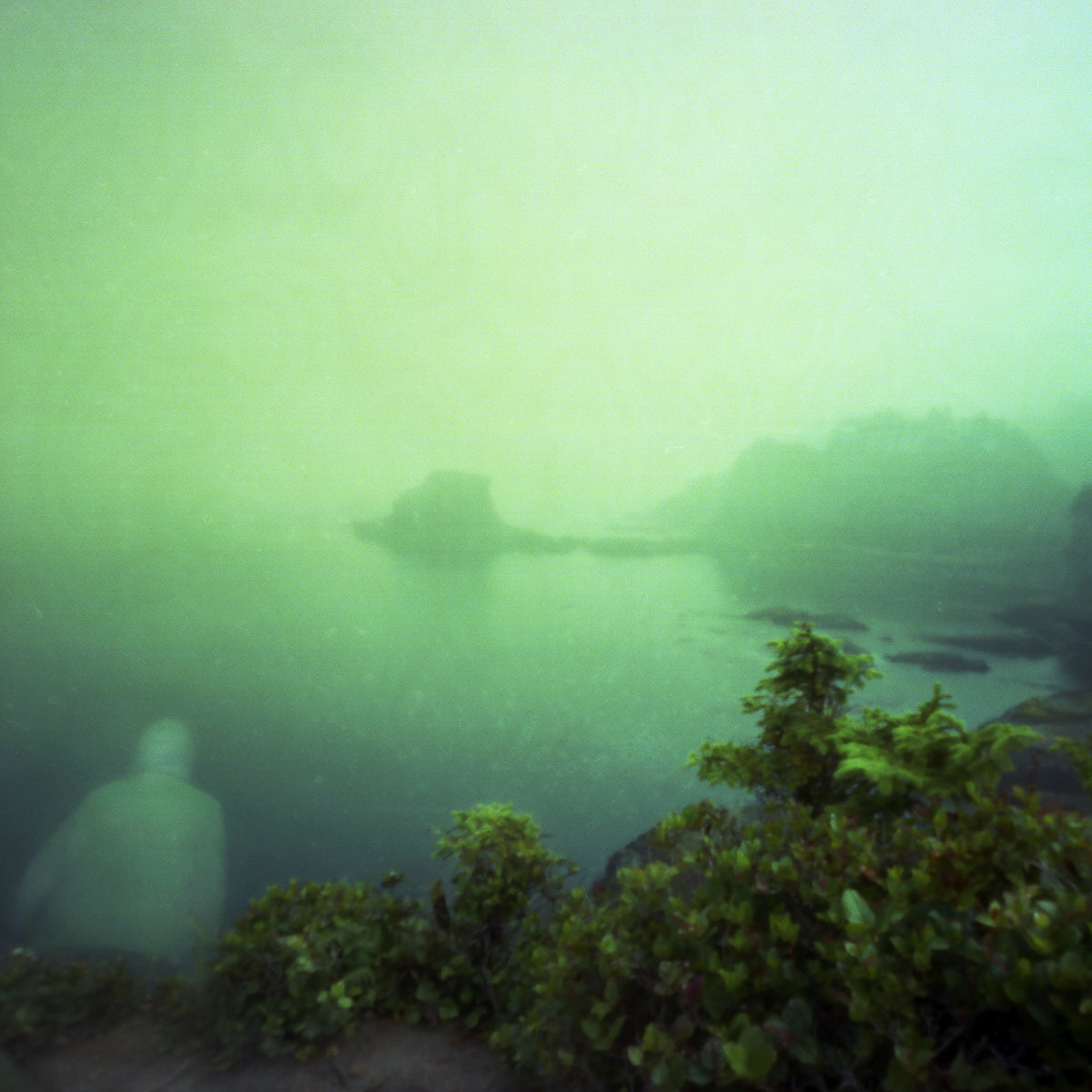 Cape Flattery with Yinny, 2017