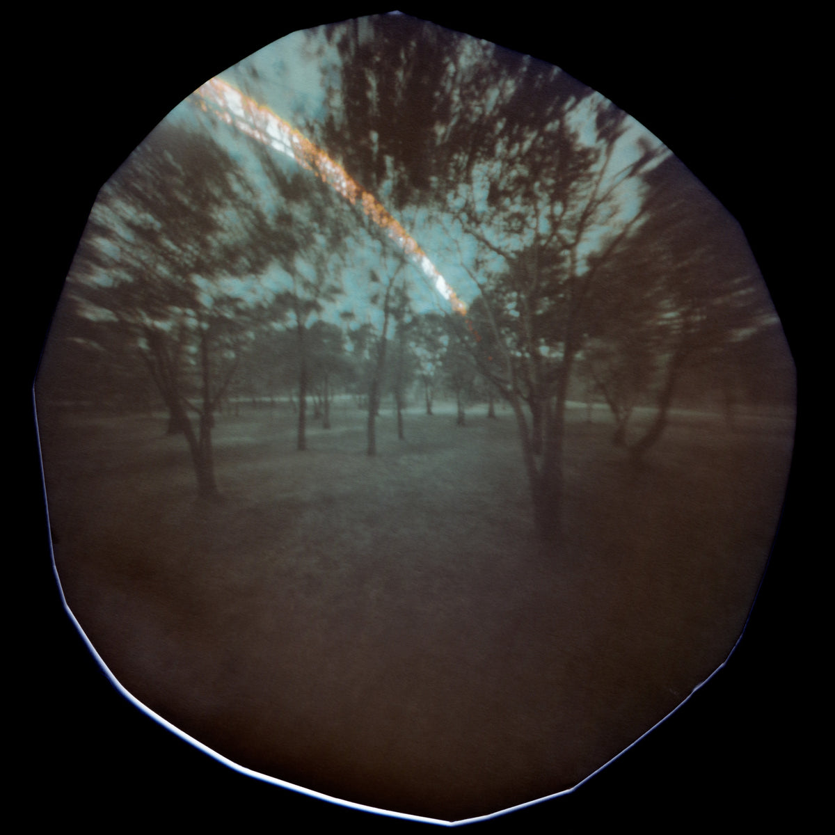 Jenny Riffle, Bosque de Chapultepec 12/21/2022 (from the series "Cracks Into Other Worlds")