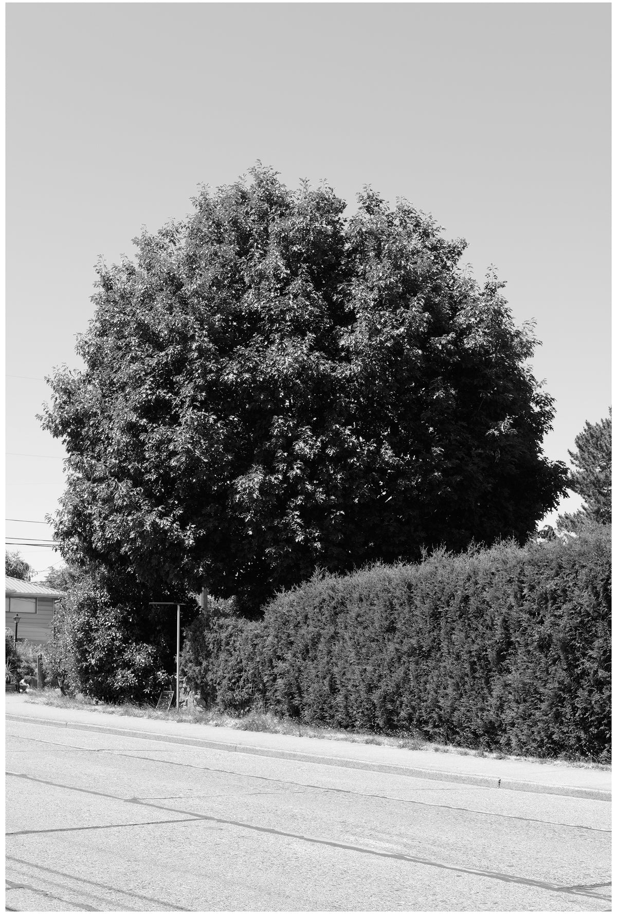 Jon Feinstein, Untitled (02) from the series, "Breathers, After Alzheimer's"