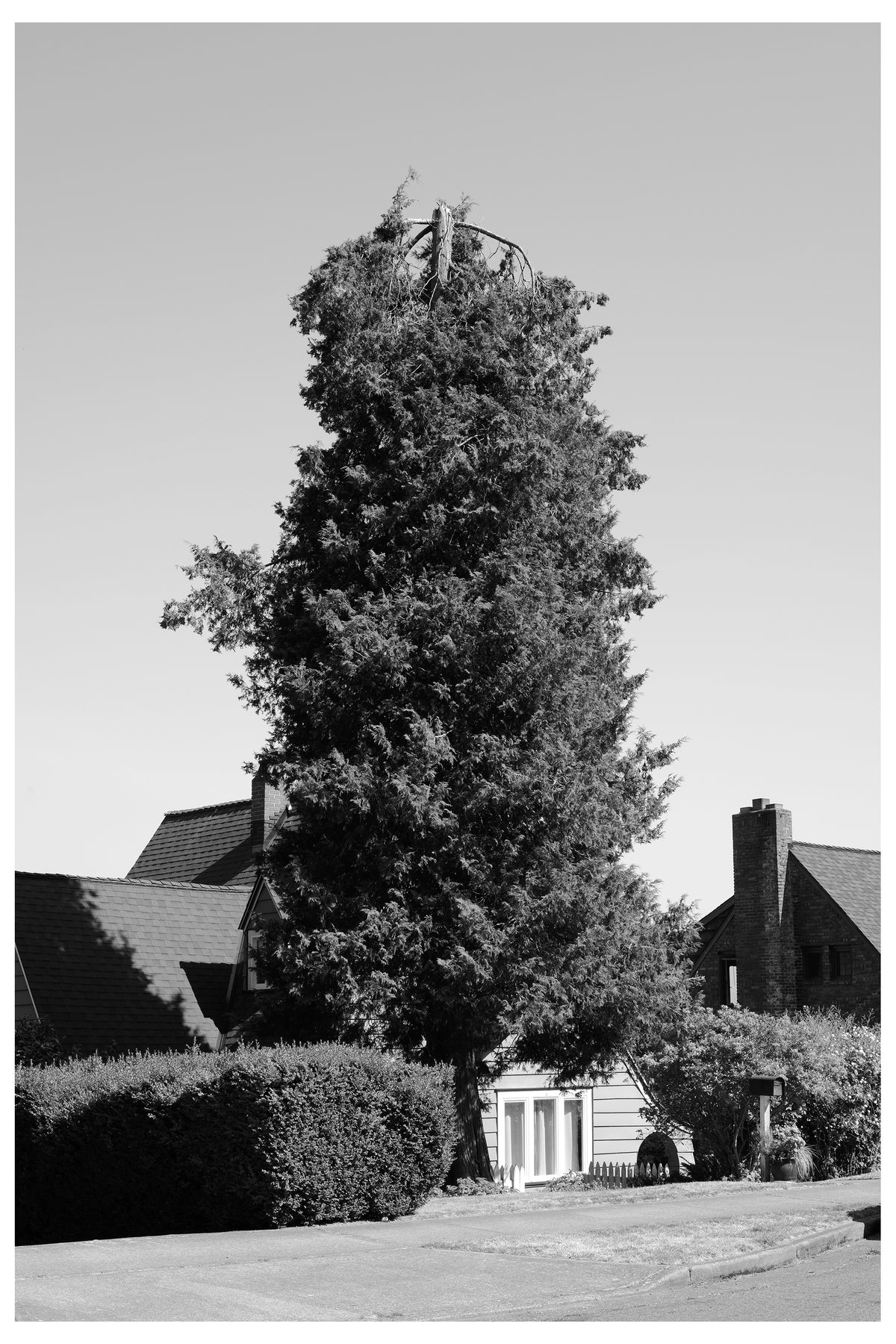 Jon Feinstein, Untitled (04) from the series, "Breathers, After Alzheimer's"
