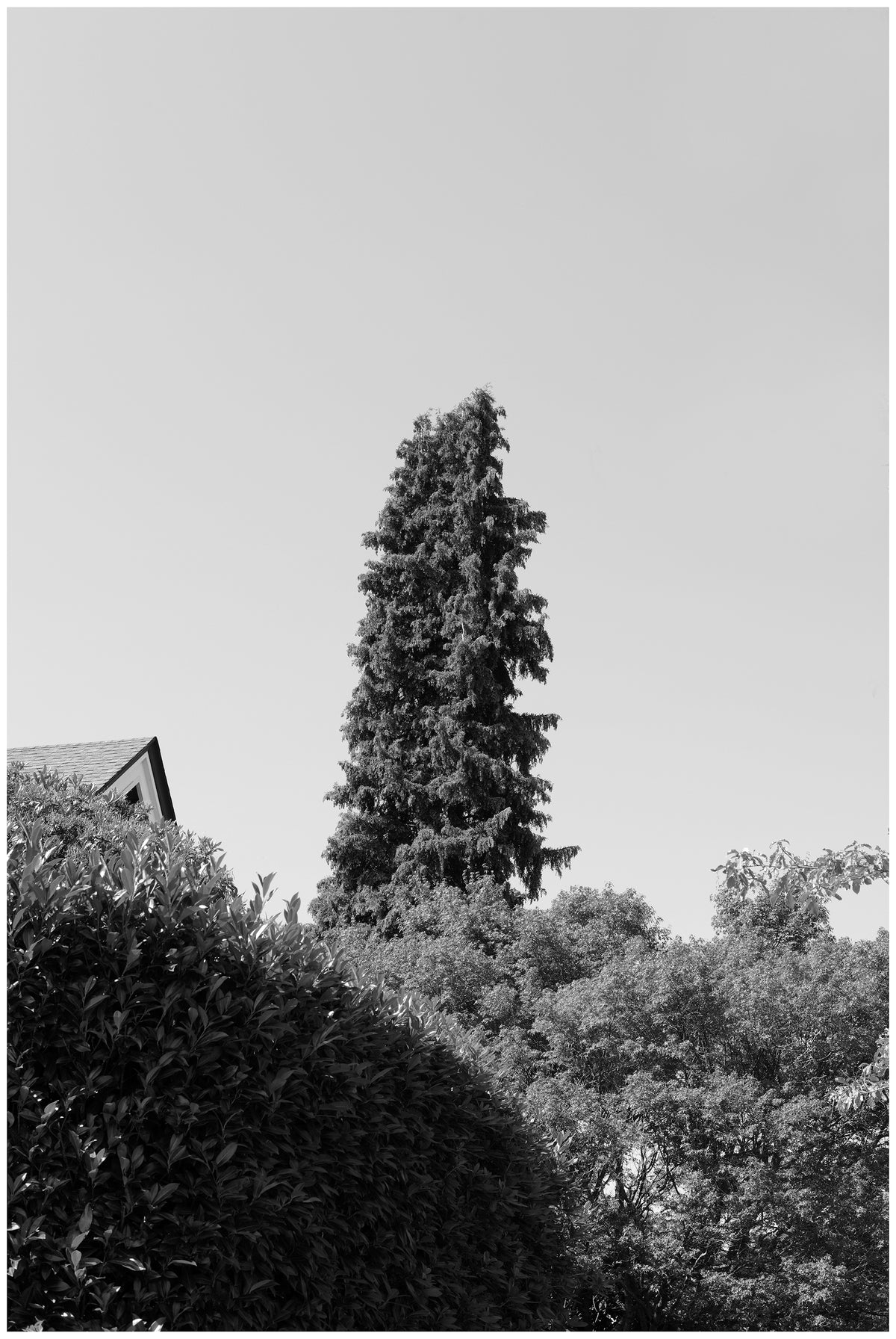 Jon Feinstein, Untitled (03) from the series, "Breathers, After Alzheimer's"