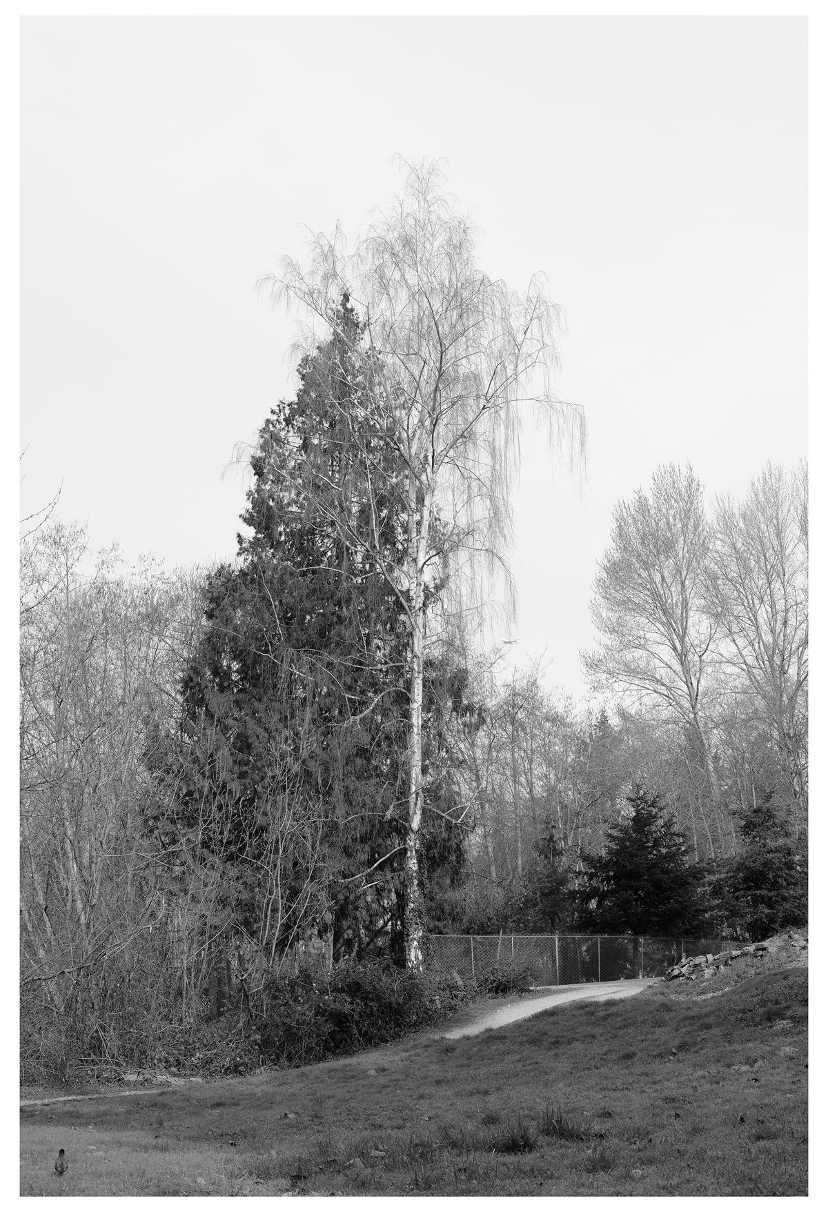 Jon Feinstein, Untitled (11) from the series, "Breathers, After Alzheimer's"