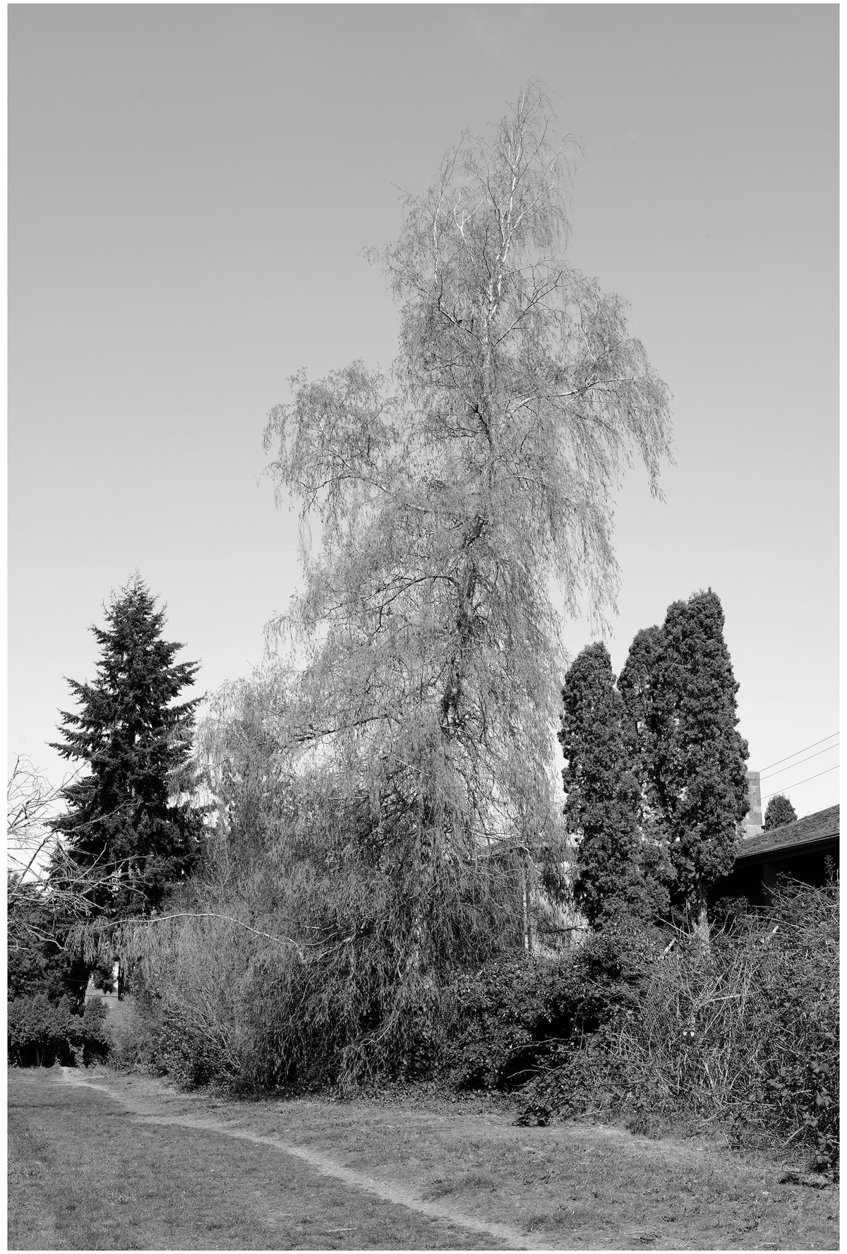 Jon Feinstein, Untitled (10) from the series, "Breathers, After Alzheimer's"