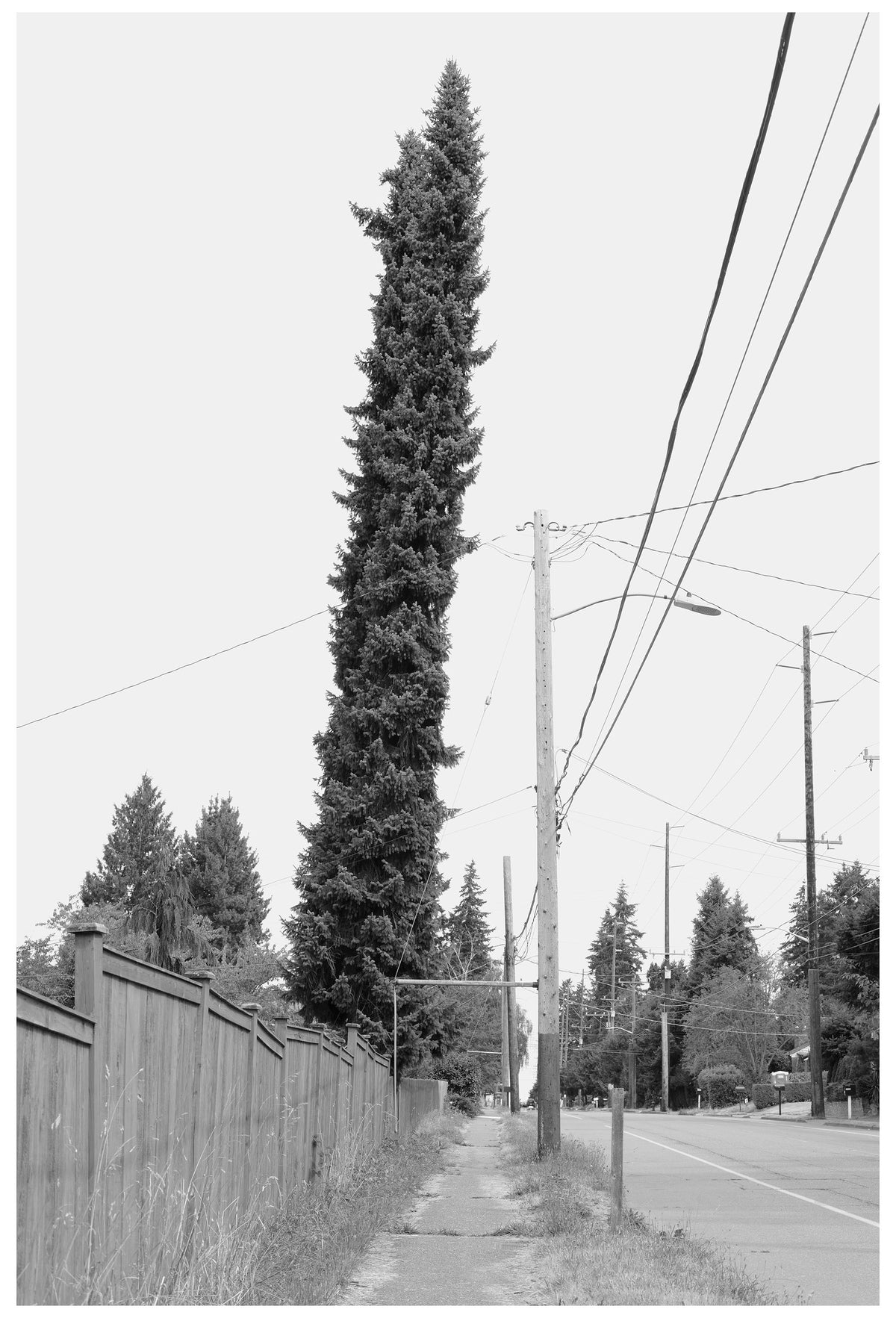 Jon Feinstein, Untitled (09) from the series, "Breathers, After Alzheimer's"