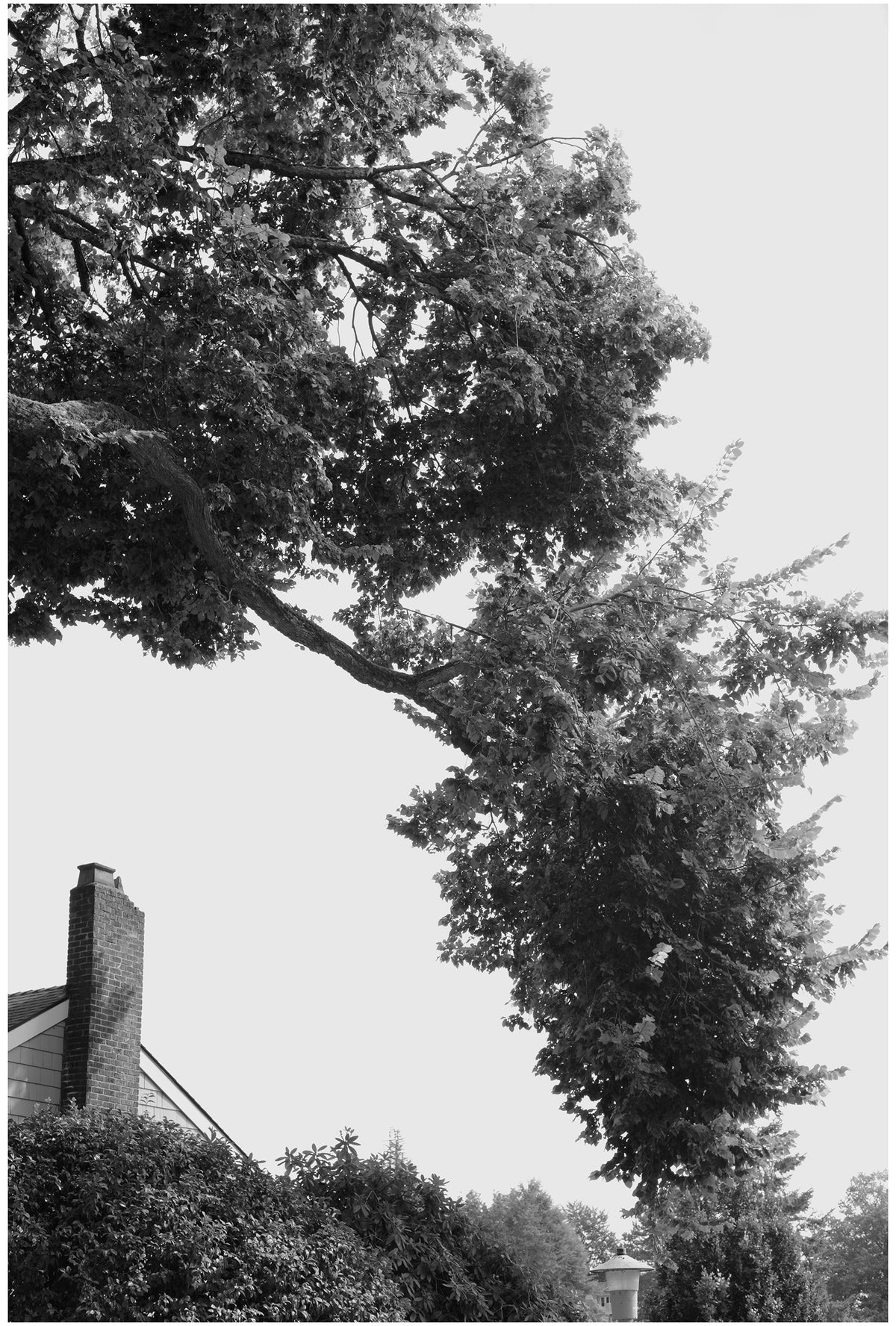 Jon Feinstein, Untitled (07) from the series, "Breathers, After Alzheimer's"