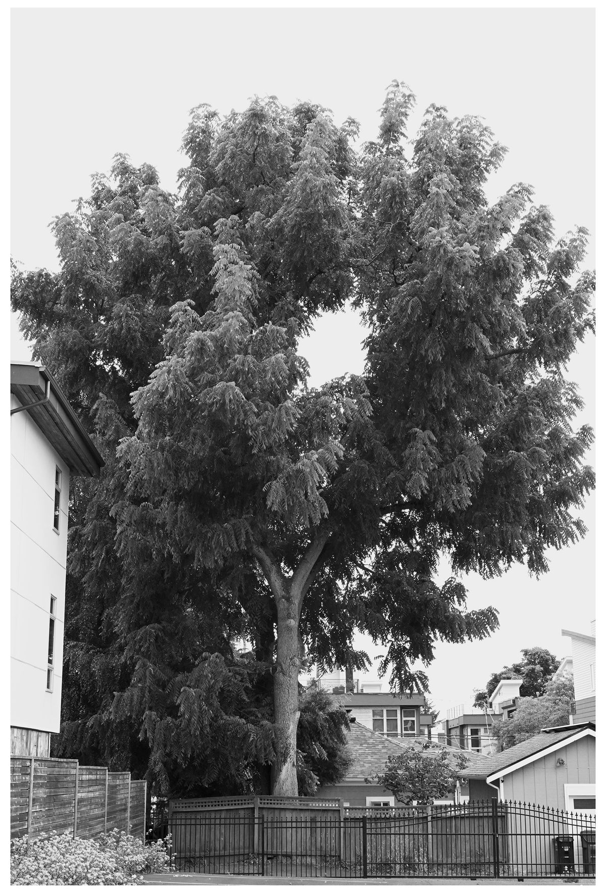 Jon Feinstein, Untitled (01) from the series, "Breathers, After Alzheimer's"