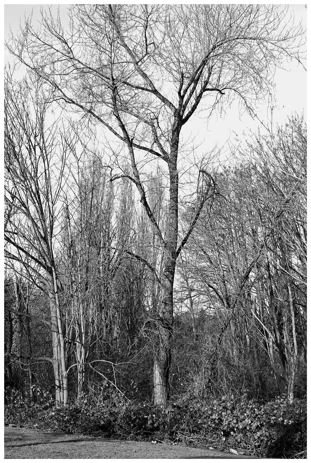 Jon Feinstein, Untitled (20) from the series, "Breathers, After Alzheimer's"
