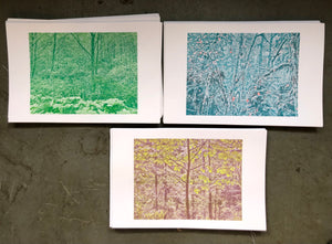 Intro to Two-Color Risograph Photo Printing - Spring 2024