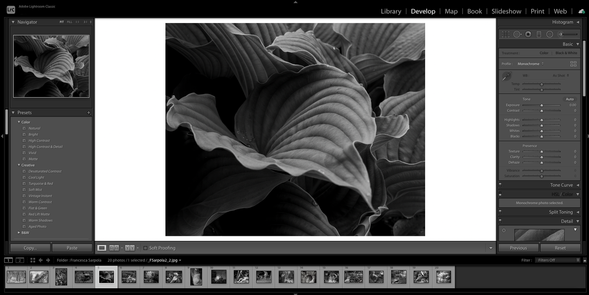 Digital Workflow Basics: Adobe Lightroom (January Session) - Winter 2026